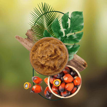 Tawahu - Ancient Miskito Batana Hair Oil Treatment